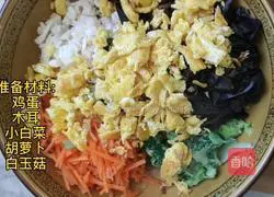 Vegan Pot Stickers Illustration 1