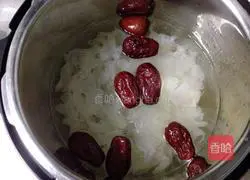 Illustration of Tremella Soup 3