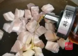 Illustration of how to make braised pork 3