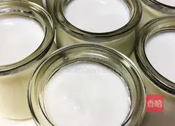 Illustration of making homemade raisin yogurt 6