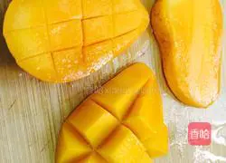 Mango Sago Recipe Illustration 5