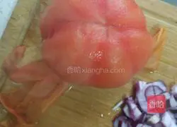 Authentic Russian Borscht Recipe Illustration 8