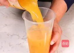 Passion Mango Lactic Acid Recipe Illustration 9