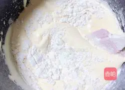 Charcoal grilled yogurt waffles recipe 8