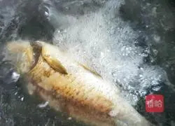 Wild carp tofu soup recipe 5