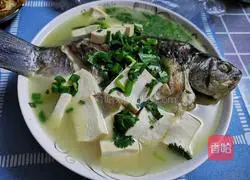 Illustration of how to make crucian carp tofu soup 7