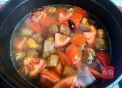 Illustration of tomato stewed beef brisket 15