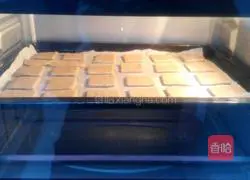 Whole wheat soda crackers recipe 12