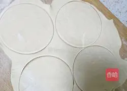 Illustration of handmade assorted fried dumplings 4