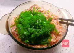 Illustration of how to make pot sticker dumplings stuffed with green and white radish and meat 4