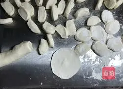 Leek Pot Stickers- Magic flour recipe 8