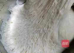 Illustration of proofing noodles 12