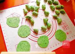 Illustrated recipes for the taste of spring 12