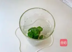 Midsummer Mojito Recipe Illustration 3