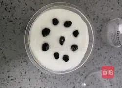 Pumpkin yogurt cup recipe 11