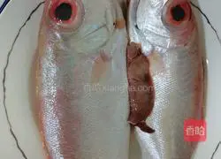 Big-eye chicken Fish soup recipe 1