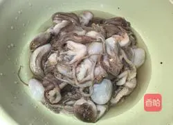 Illustration of how to cook octopus 1