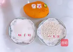 Mango Sago Recipe Illustration 1