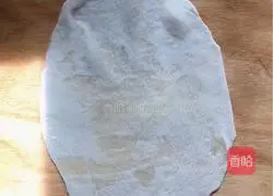 Illustration of how to make pan-fried Chinese bean paste spring rolls 2