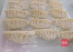 Illustration of how to make handmade dumplings 10