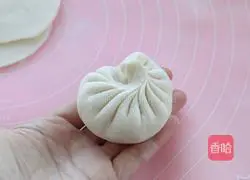 Illustration of Northeast Pork and Pickled Cabbage Stuffed Buns 9