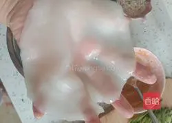 Mix Illustration of how to make Liangpier 6