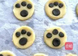 Cat claw biscuits recipe 10