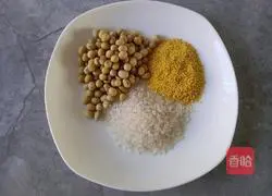 Mirun Soy Milk Recipe Illustration 1