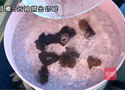 Illustration of how to make salad cold noodles 1