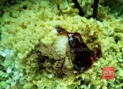 Illustration of how to make vegetarian dumplings 5