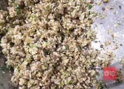 Illustration of how to make pork and fennel dumplings 12