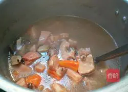 Mushroom, Carrot, Lotus Root and Pork Ribs Soup Illustration 12