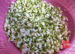 Illustration of steaming sophora japonica flowers 2