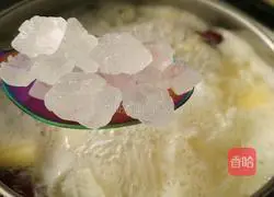 Apple, Snow Pear and Tremella Soup Recipe Illustration 11