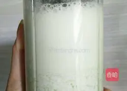 Bitter Melon Pear Juice Recipe Illustration 3