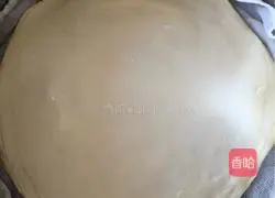 Spring Pancake Skin Recipe Illustration 16