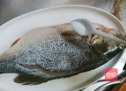 Illustration of steamed sea bass 3