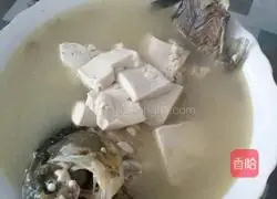 Illustration of how to make crucian carp tofu soup 11