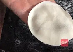 Illustration of how to make carrot and beef pot stickers 14