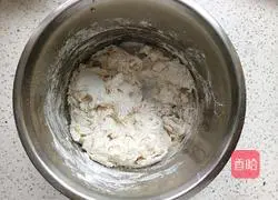 Illustration of one-time fermentation oil-free and sugar-free bagels 3