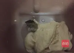 Illustration of how to make butterfly cookies 5