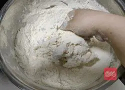 Illustration of how to make beef and onion dumplings 7