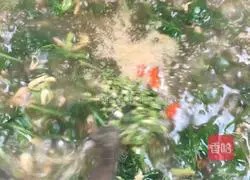 Illustration of how to make shrimp skin and radish soup 10