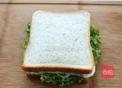 Illustration of how to make tuna cheese sandwich 13