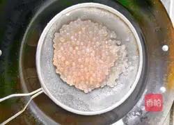 Watermelon Sago Recipe Illustration 5