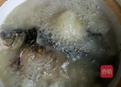 Illustration of how to make crucian carp soup 6