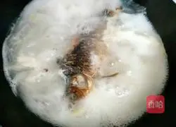 Illustration of how to make crucian carp tofu soup 5