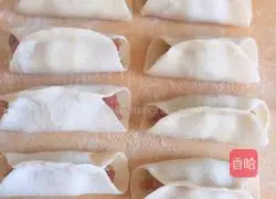 Illustration of how to make pot stickers 5