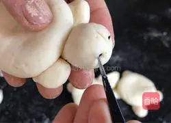 Illustration of how to make little turtle steamed buns 4