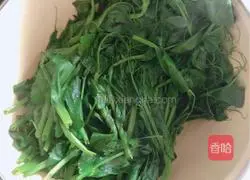 Illustration of how to make pea tip mushroom sauce noodles (Xiangha mushroom sauce) 3